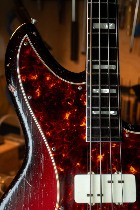 IVORUS - Silvertone Burst | Signature