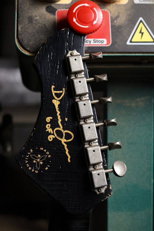 NOVO SIGNATURE VOLTUR - Cat's Eye Burst (6 of 6)