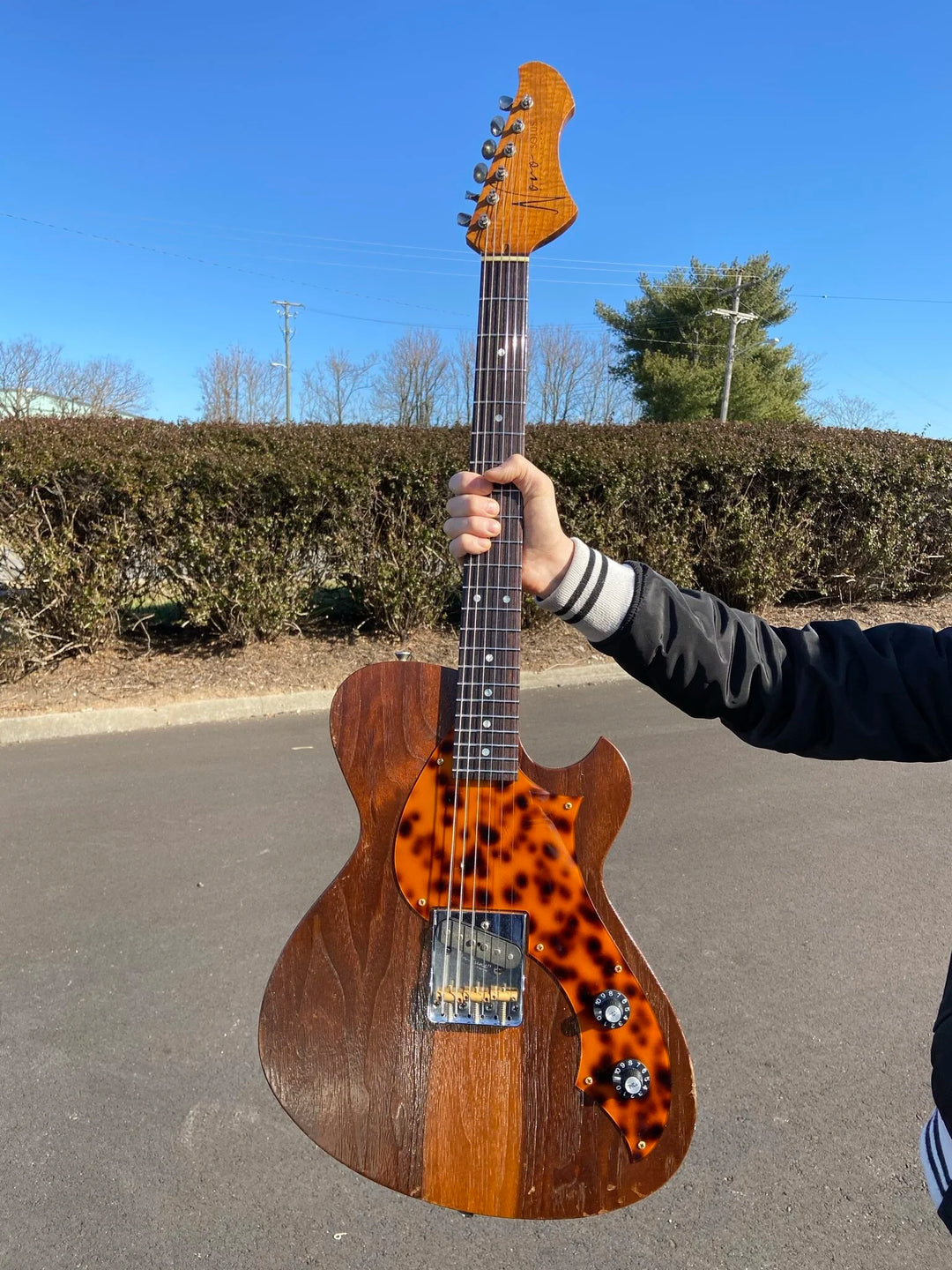 NOVO SIGNATURE BUTTERNUT SOLUS F1