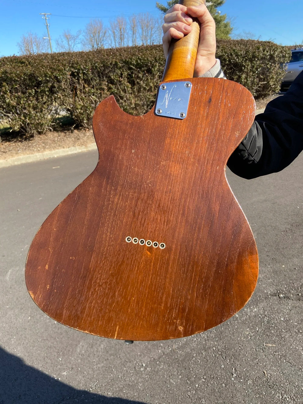 NOVO SIGNATURE BUTTERNUT SOLUS F1
