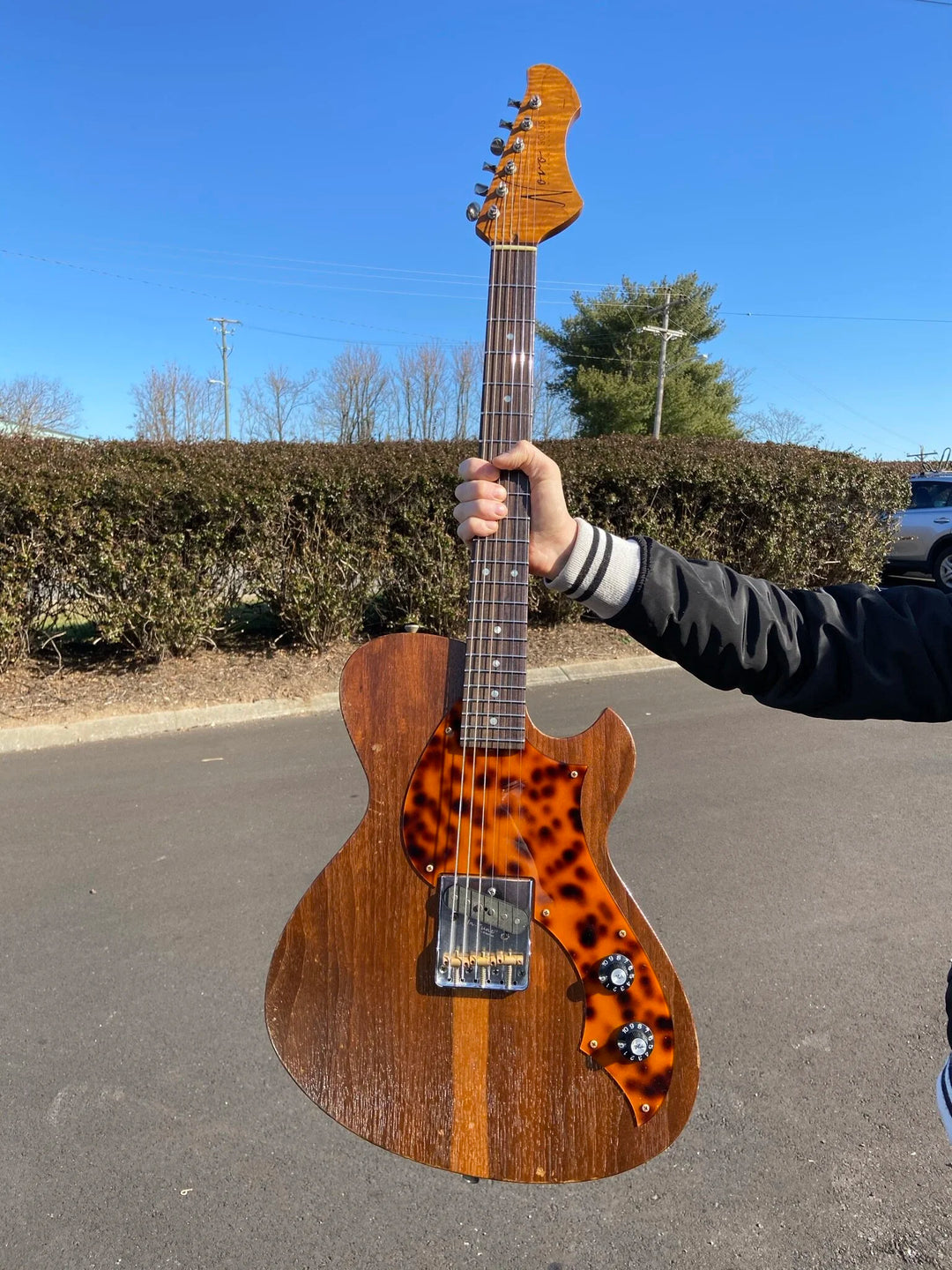 NOVO SIGNATURE BUTTERNUT SOLUS F1