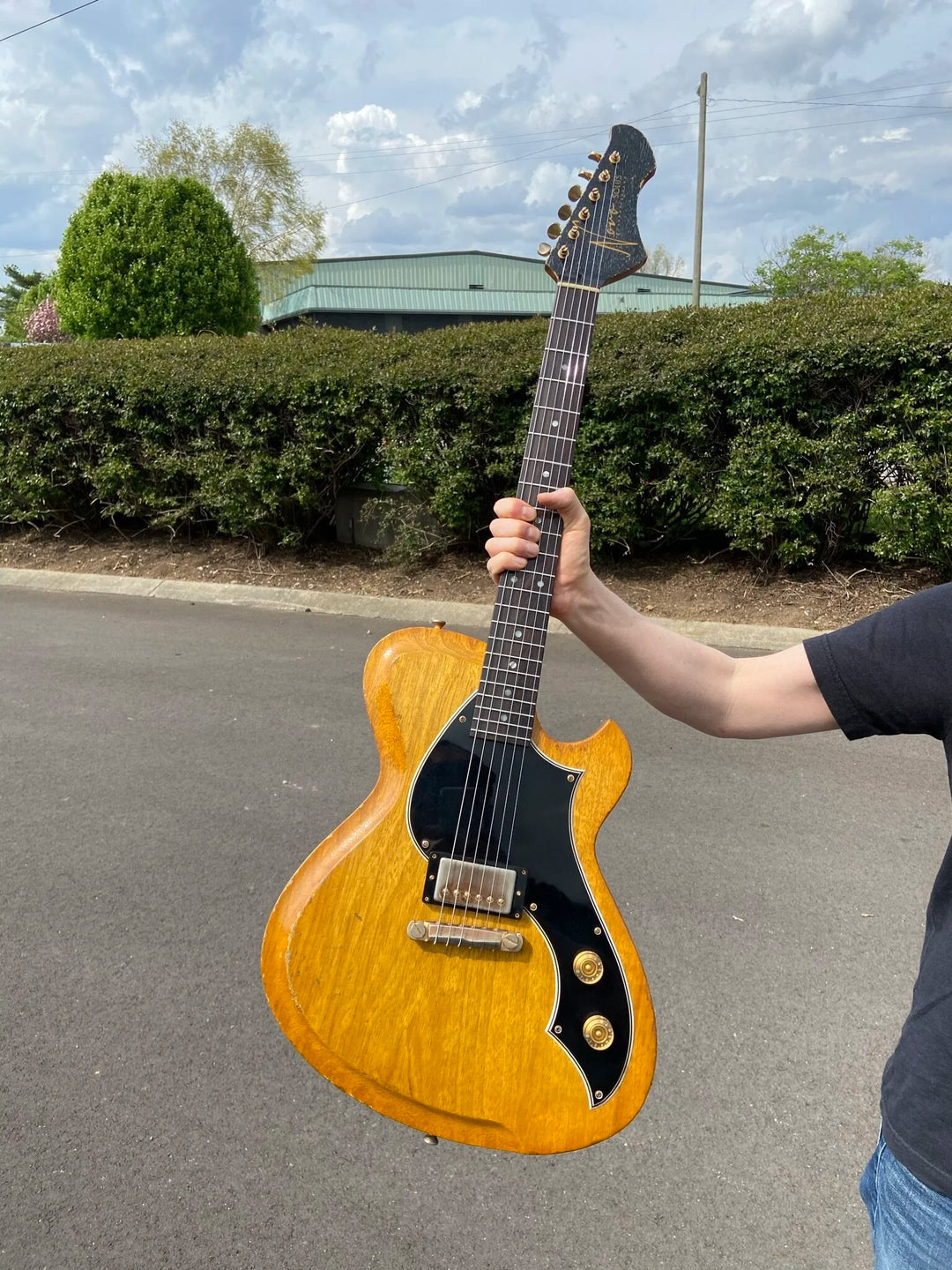 NOVO SIGNATURE SOLUS H1 - Light Amber Burst