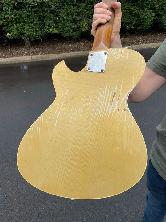 NOVO SIGNATURE SOLUS F1 - Top Line Gold