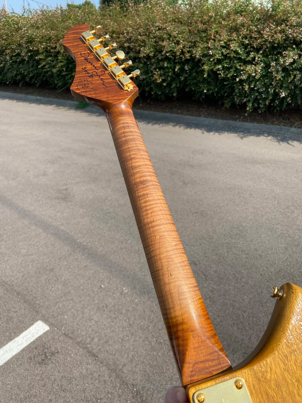 NOVO SIGNATURE SERUS P2 - Korina (3 of 8)