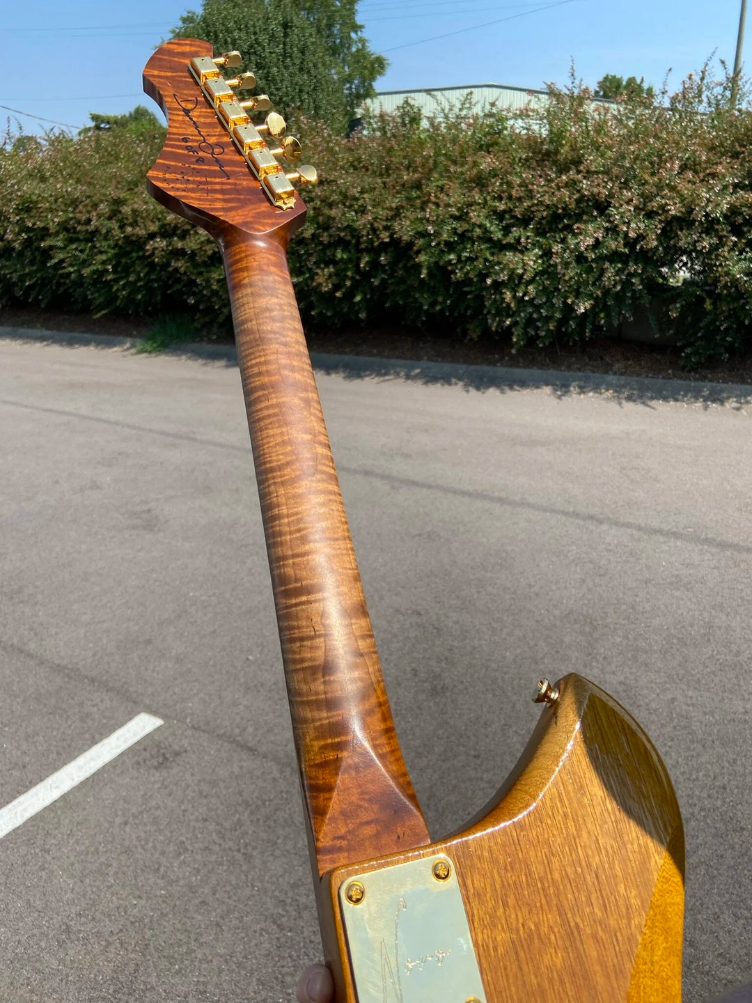 NOVO SIGNATURE SERUS P2 - Korina (6 of 8)