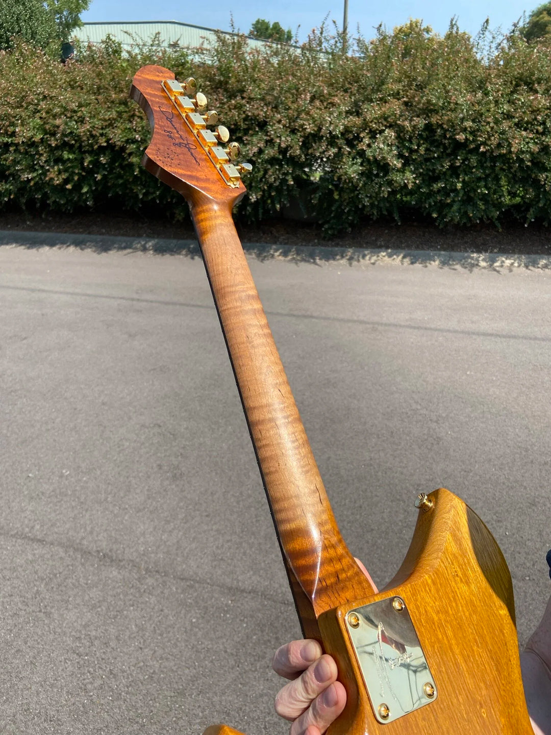 NOVO SIGNATURE SERUS P2 - Korina (8 of 8)