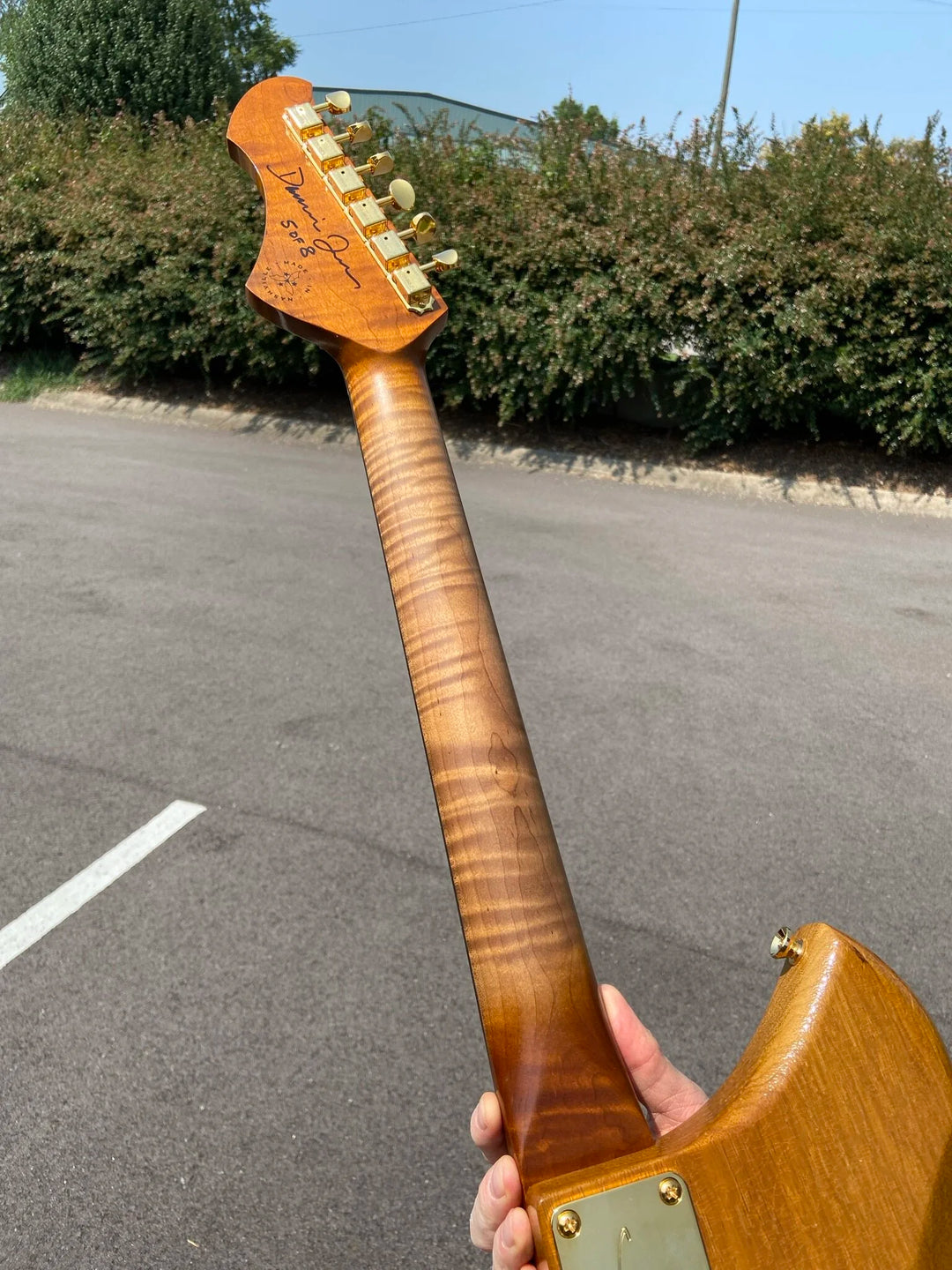 NOVO SIGNATURE SERUS P2 - Korina (5 of 8)