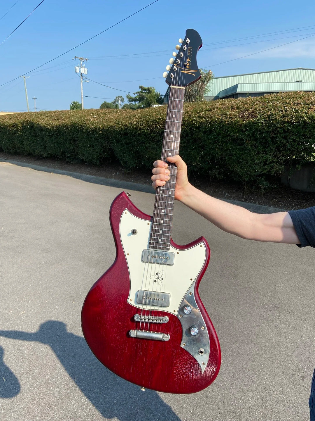 NOVO SIGNATURE SERUS P2 - Black Cherry