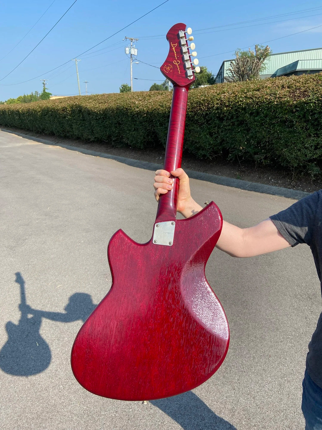 NOVO SIGNATURE SERUS P2 - Black Cherry
