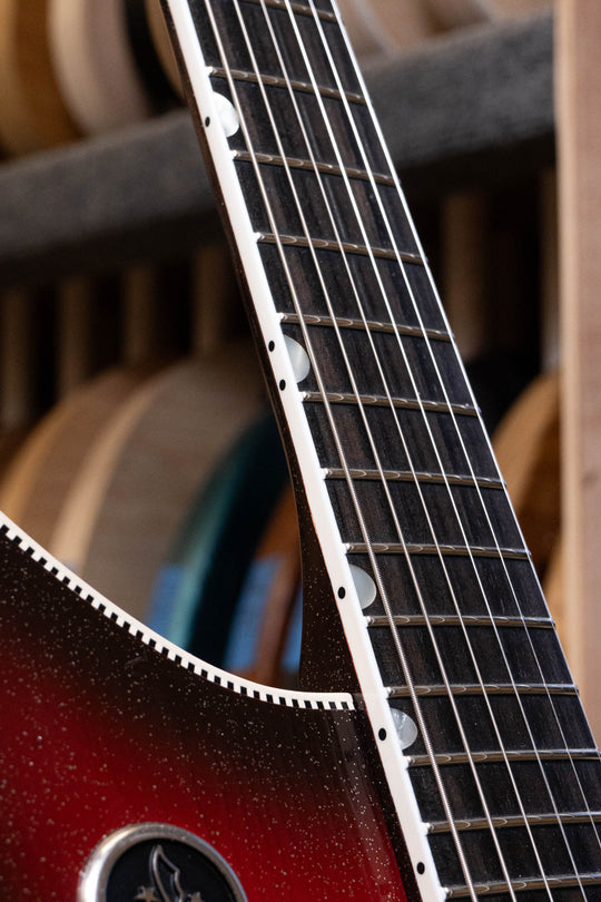MIRIS J - Silvertone Burst | Signature (4 of 4)